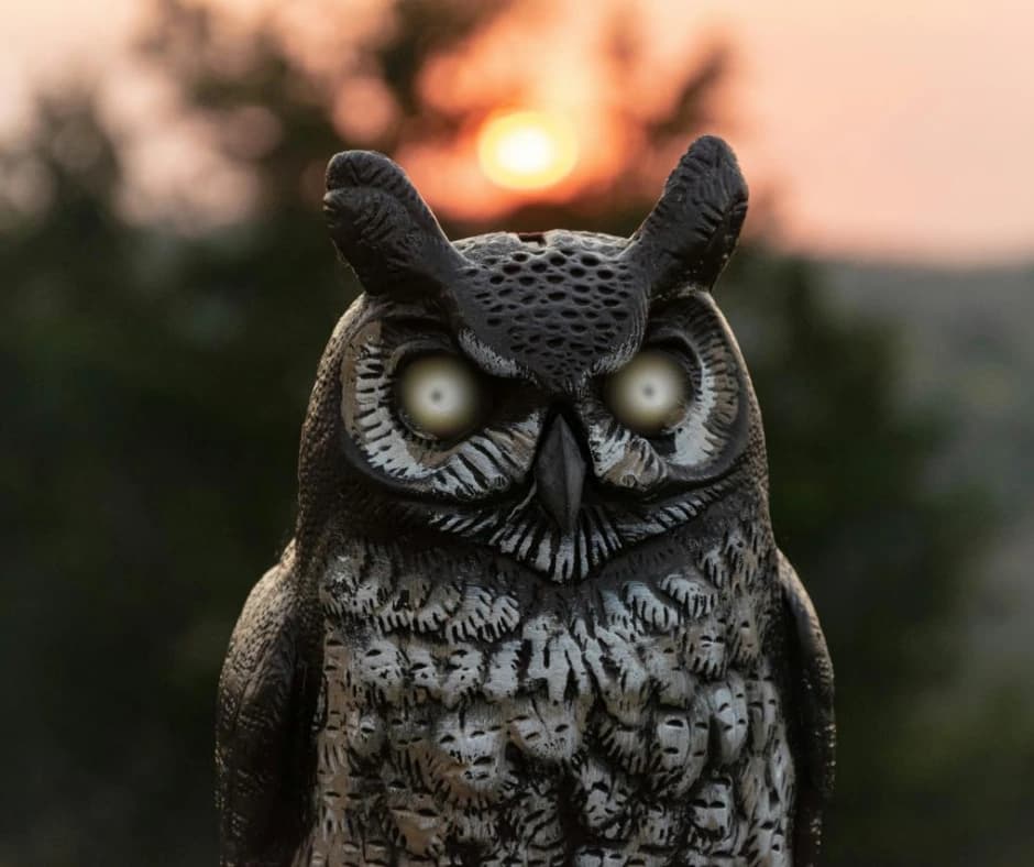 Kita Akan Mati Bersama